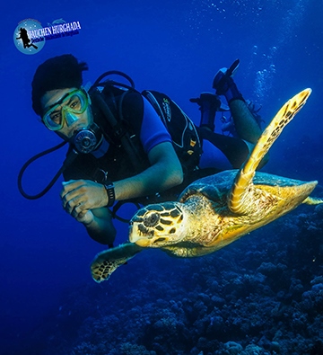 Hurghada inTauchen 31 (19)-3.jpg